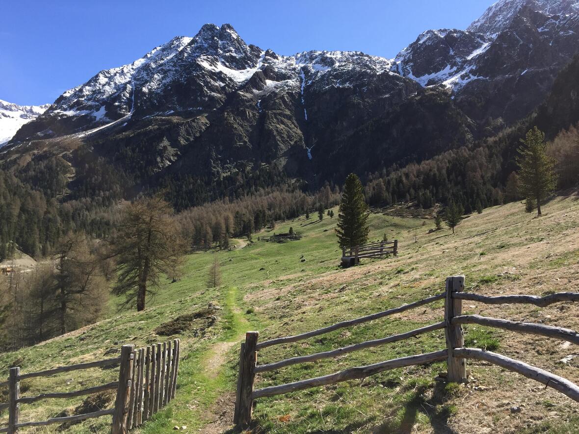 homepagefoto-vinschger-hoehenweg-tour-m4