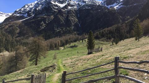 homepagefoto-vinschger-hoehenweg-tour-m4