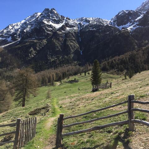 homepagefoto-vinschger-hoehenweg-tour-m4