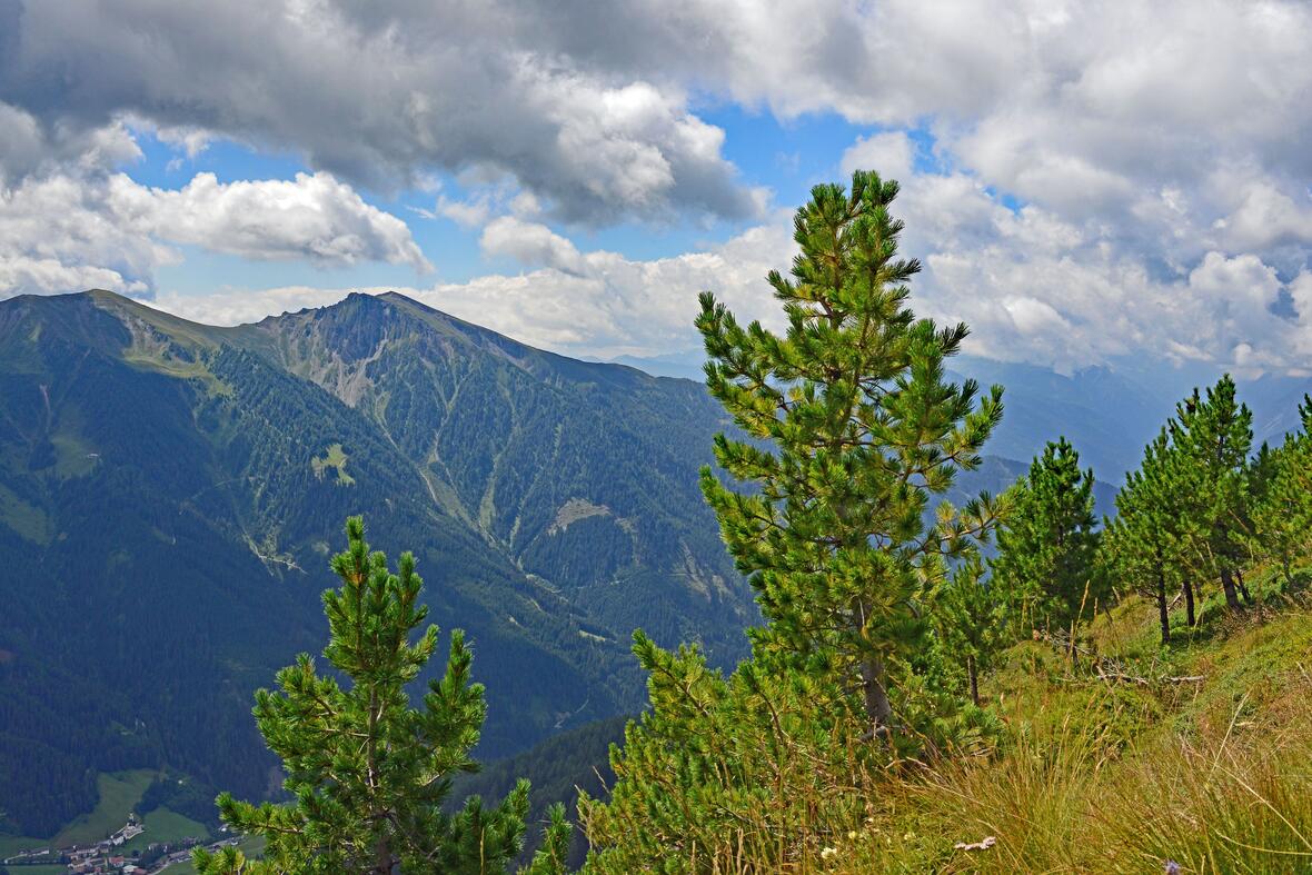 foto-matrei