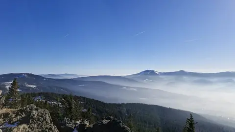 foto-ausschreibung-bayerwald