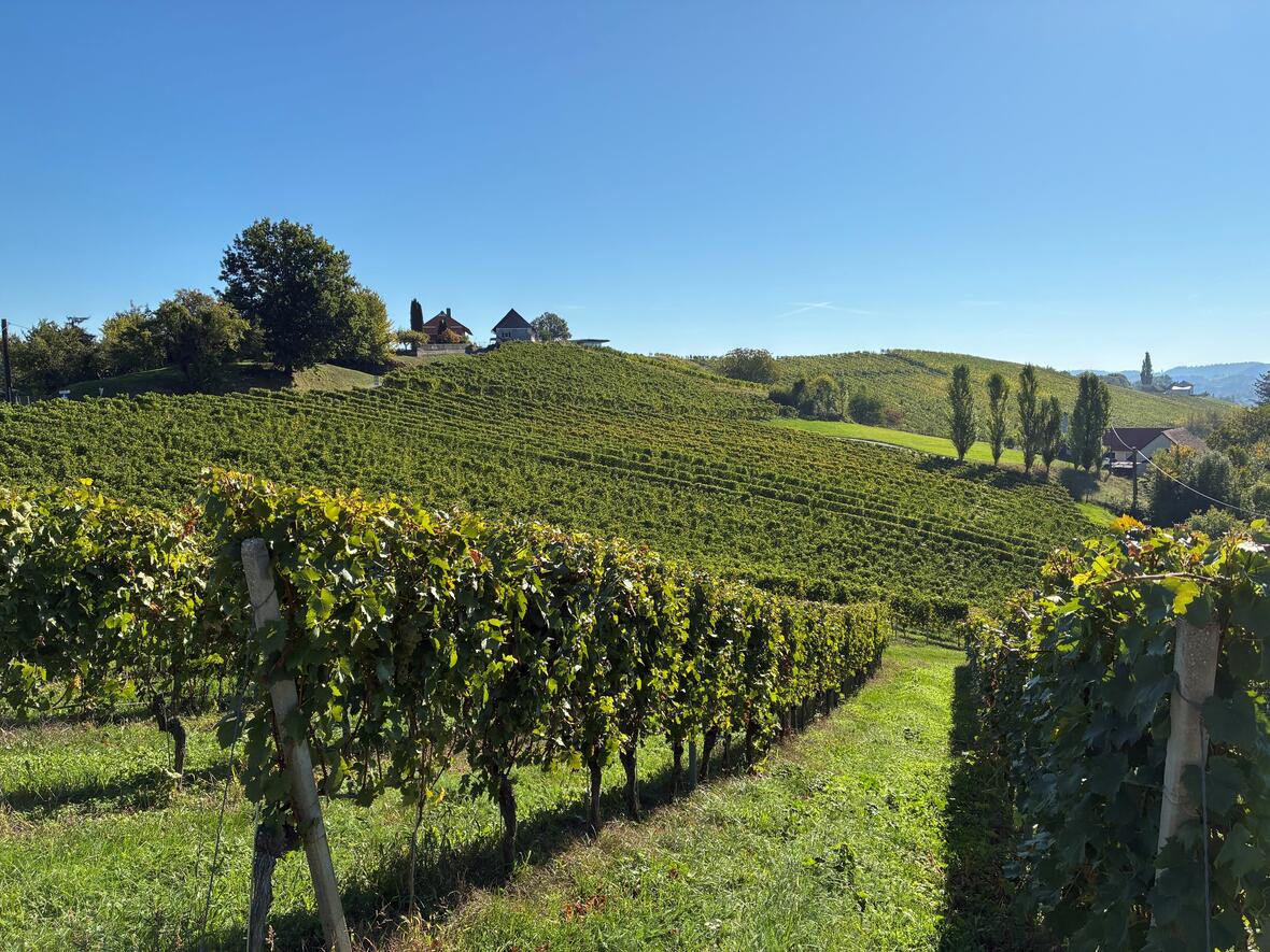 steiermark