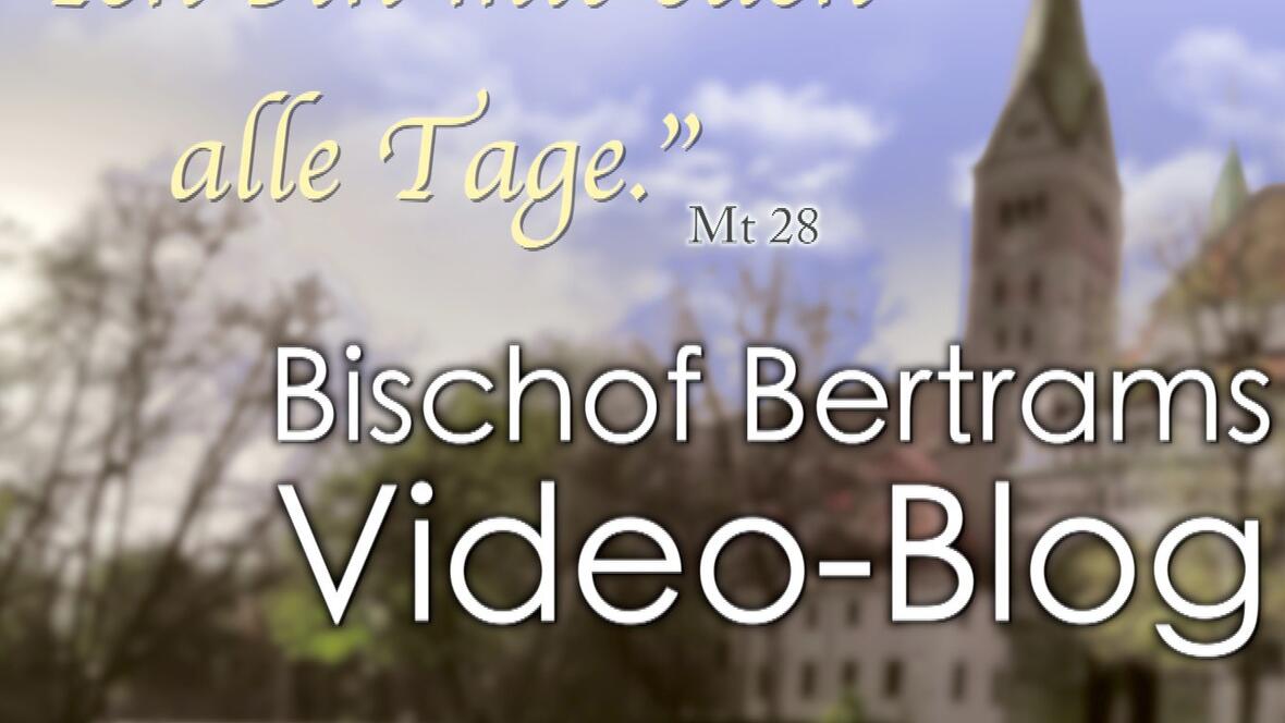 folge-6-lebt-das-evangelium4019644