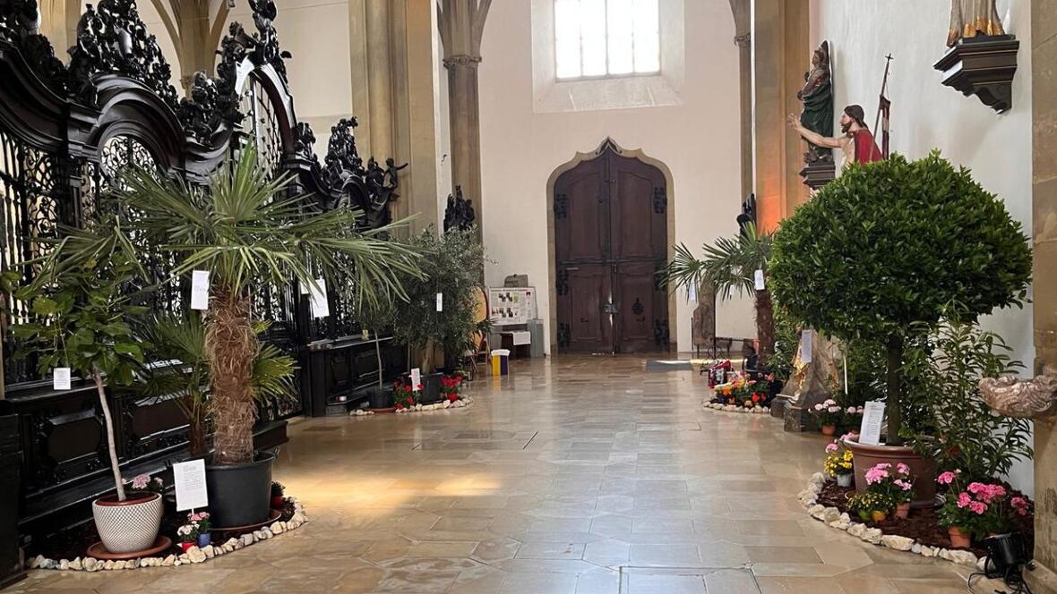 Ein Garten mit biblisch-geistlichen Impulsen erwartet Besucherinnen und Besucher in der Basilika St. Ulrich und Afra. (Foto: Markus Dumberger)